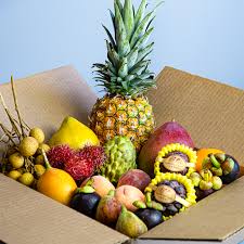Fixed Fruit Bundle