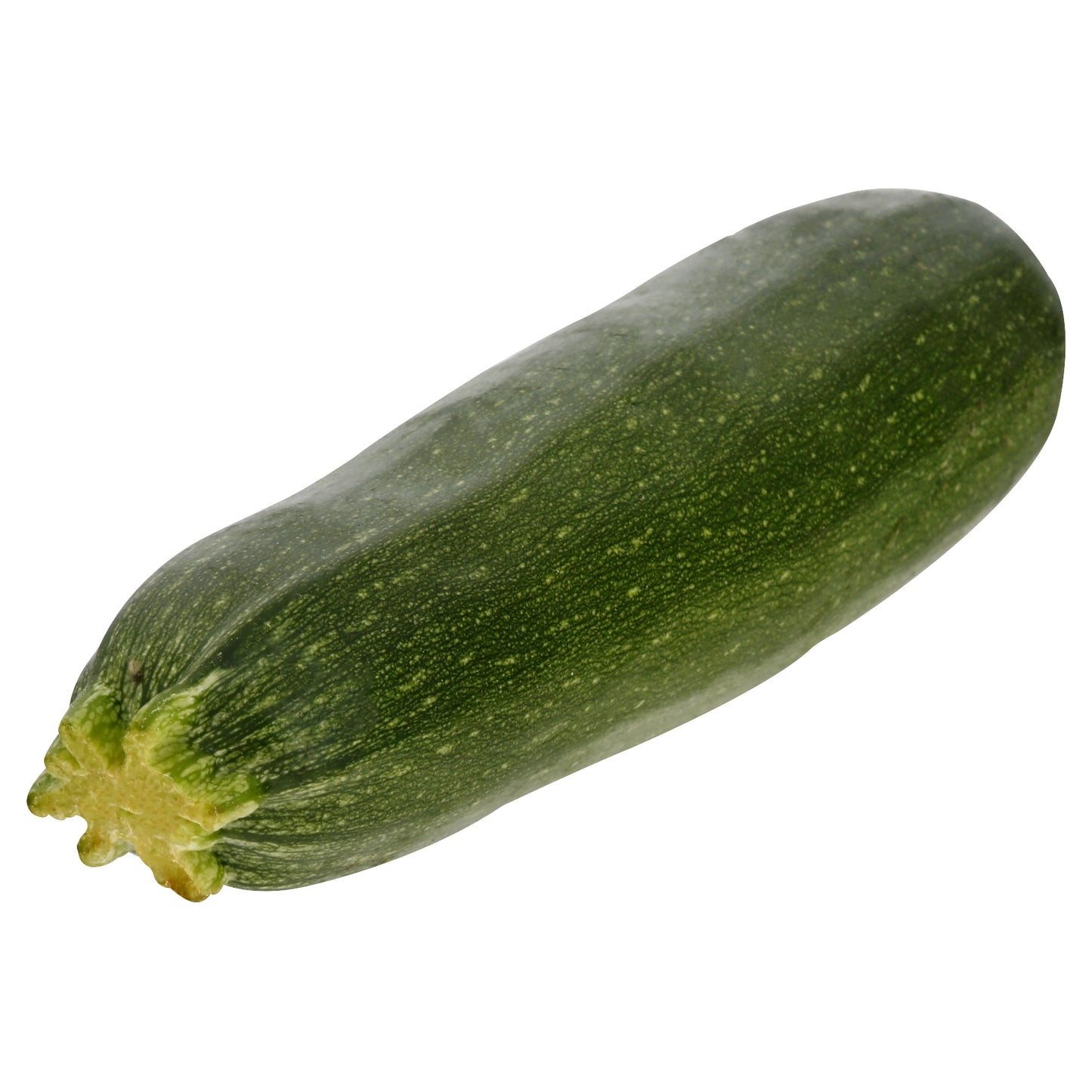 Italian Squash/Zucchini