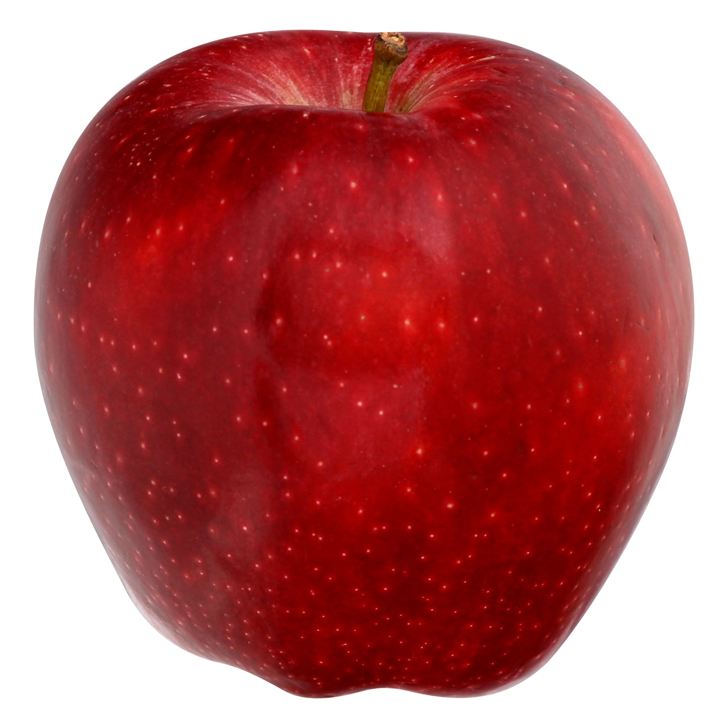 Gala Apple