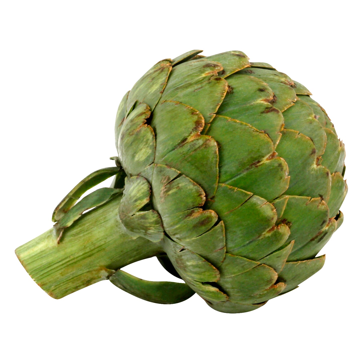 Artichokes