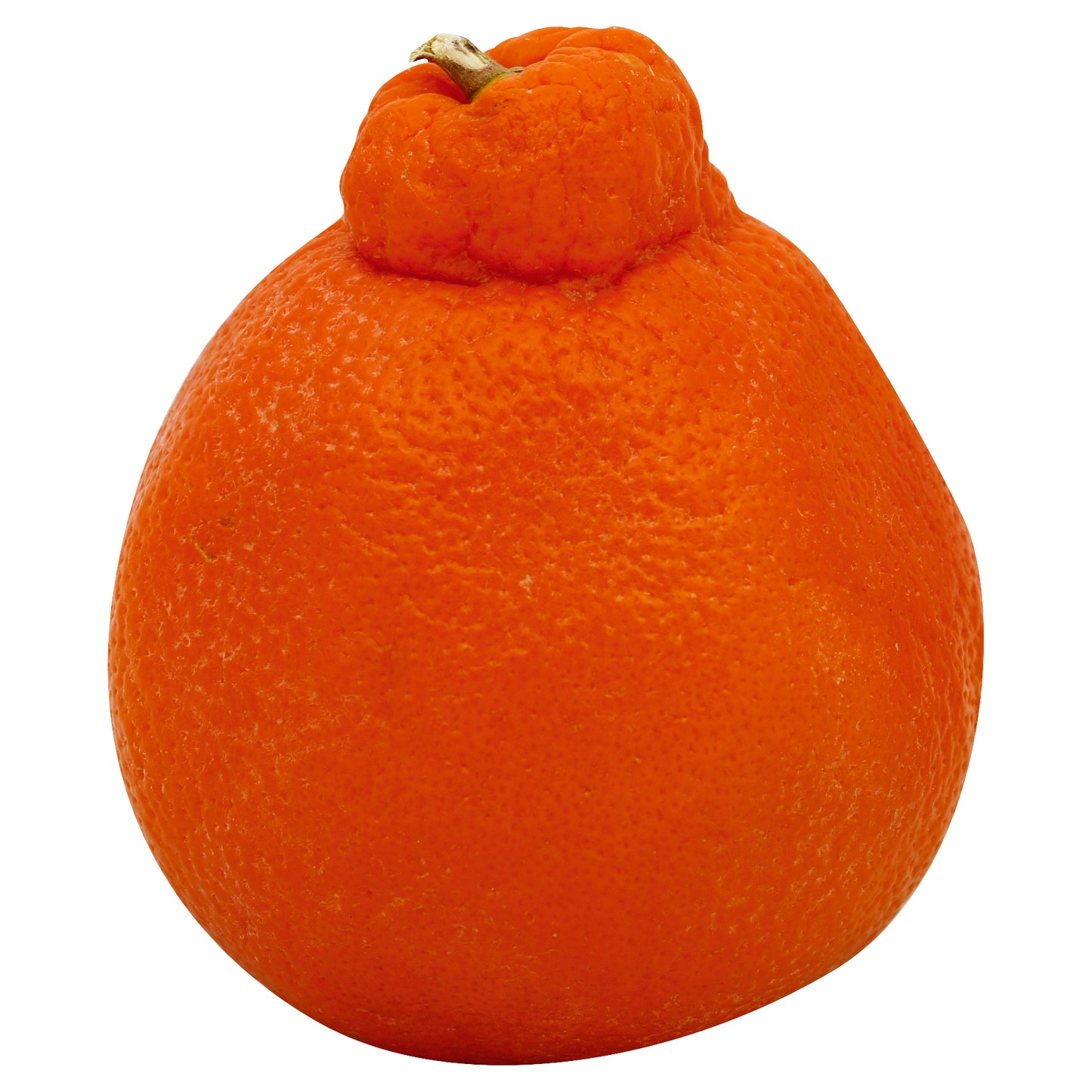 Minneola Tangerines