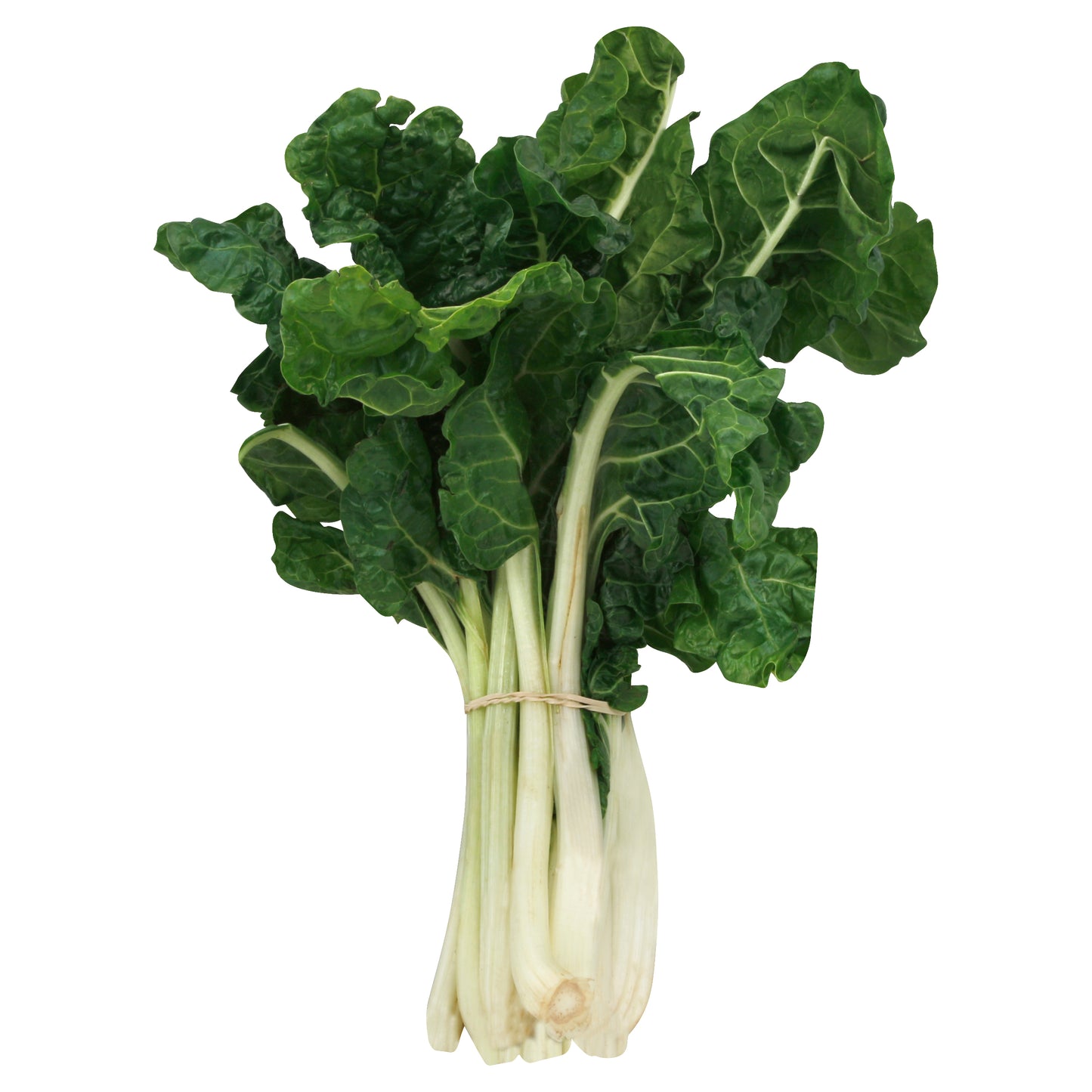 Green Swiss Chard