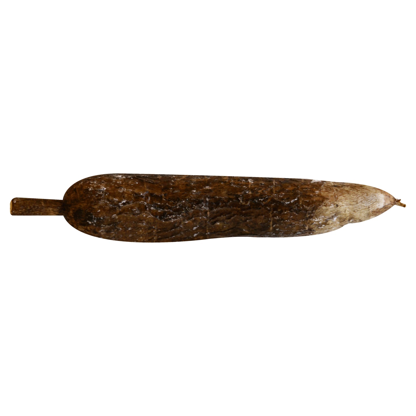 Yucca Root