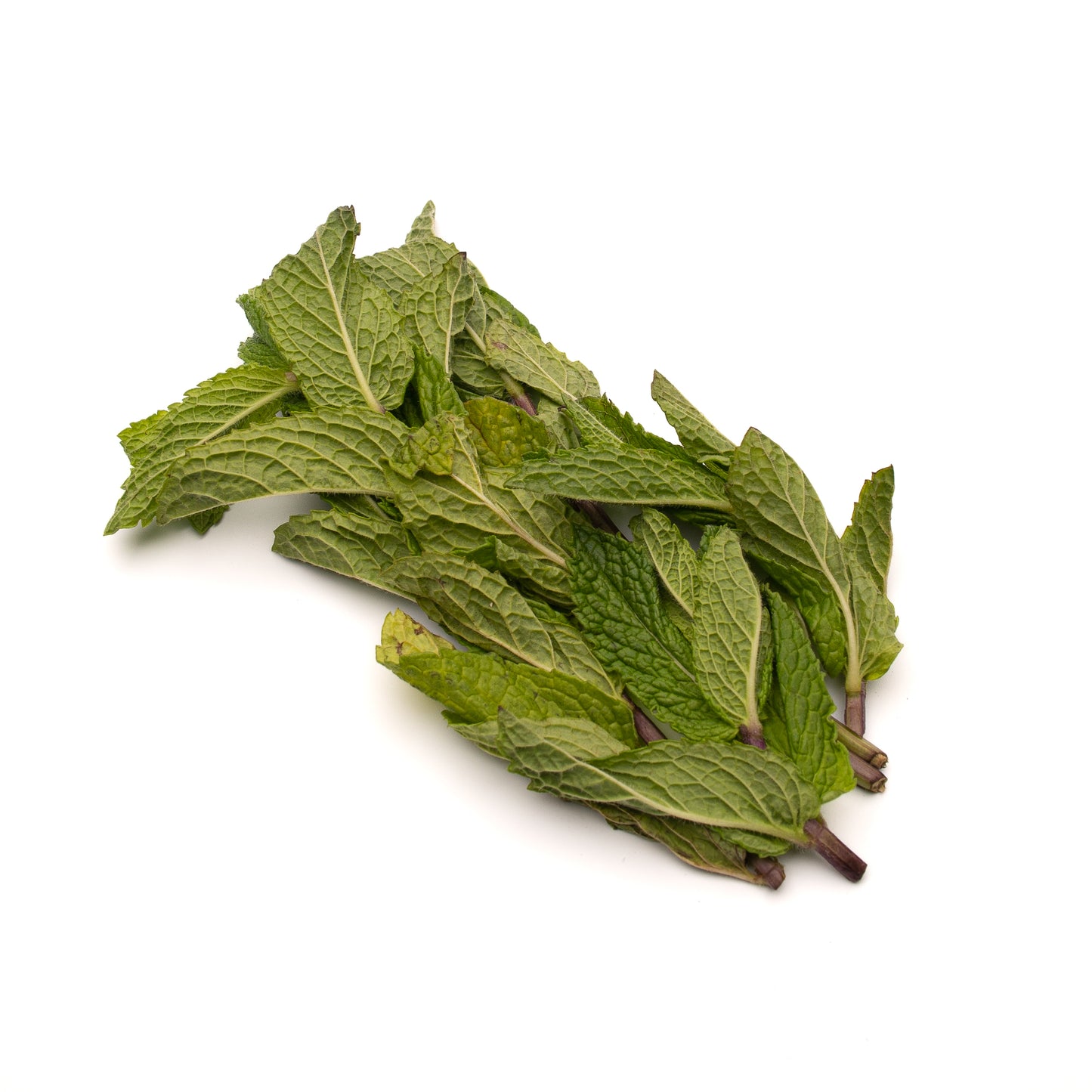 Organic Mint