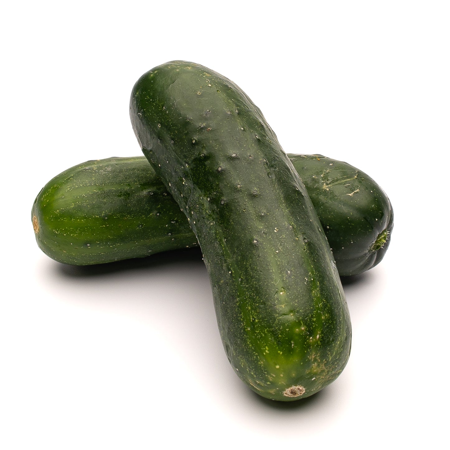 Pickling/Gherkin Cucumber