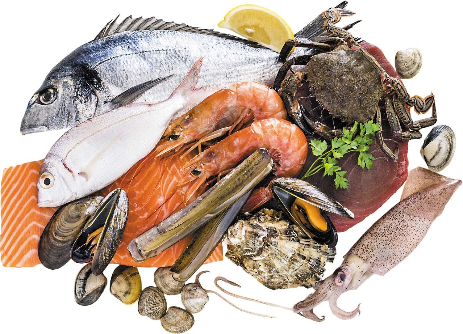 Seafood