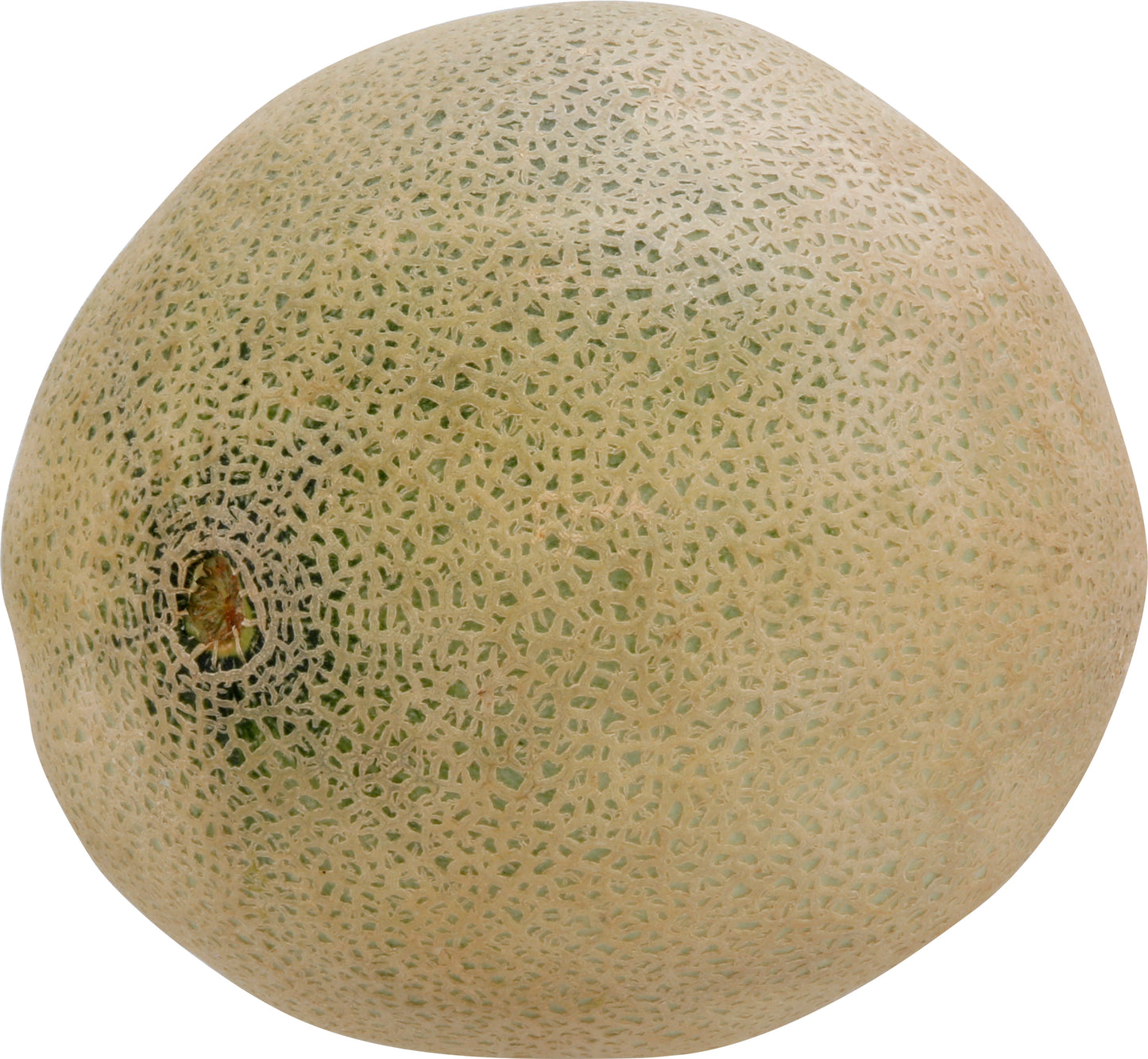 Cantaloupe - Jumbo