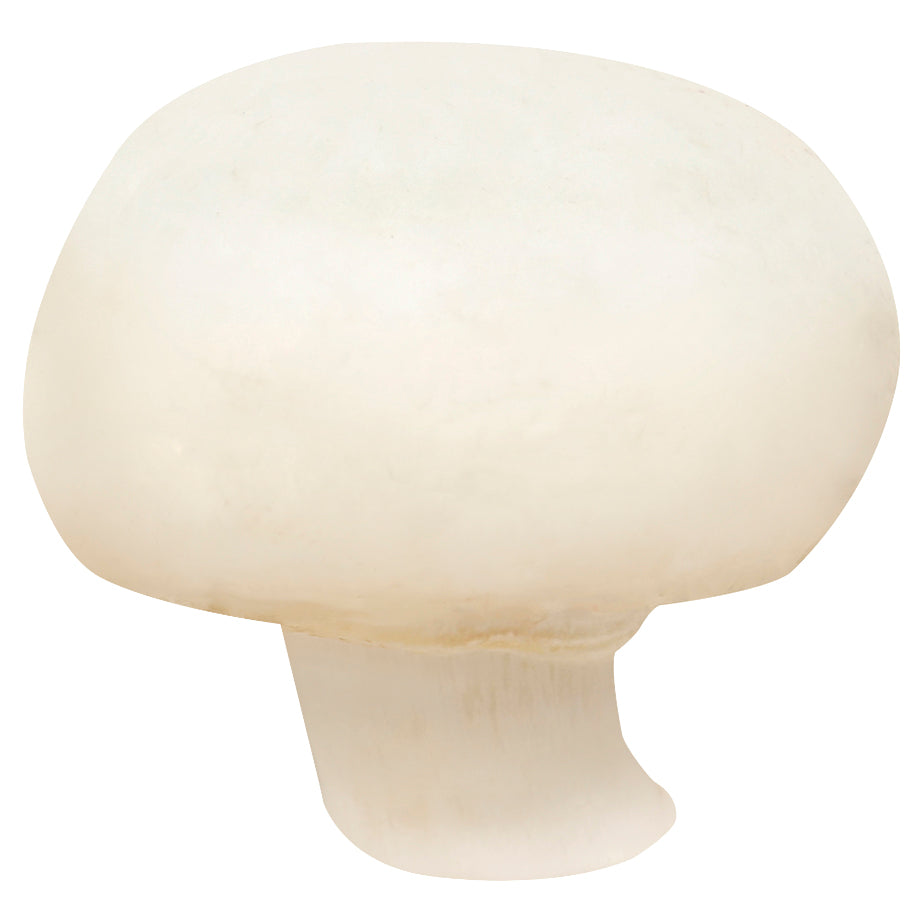 Loose White Mushrooms