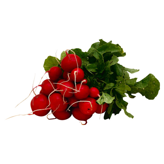 Red Raddish