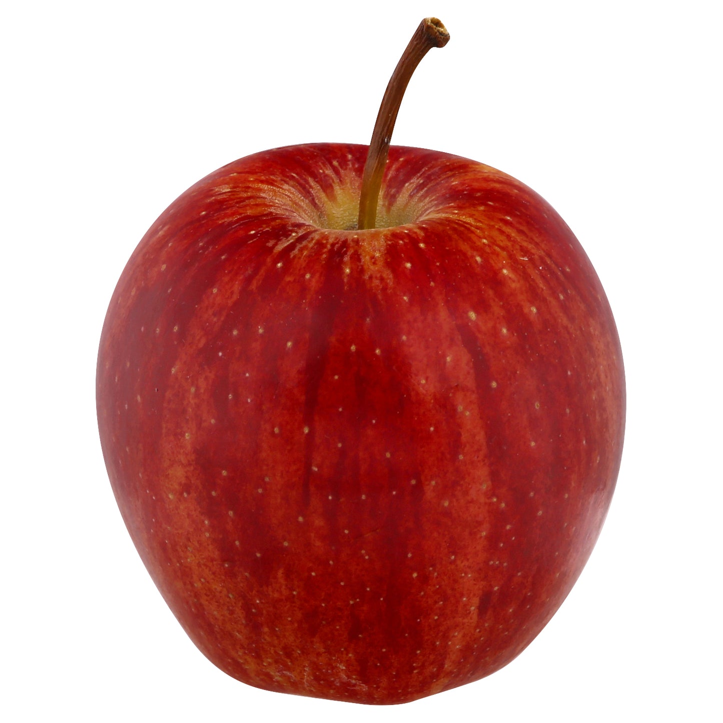 Fuji Apple