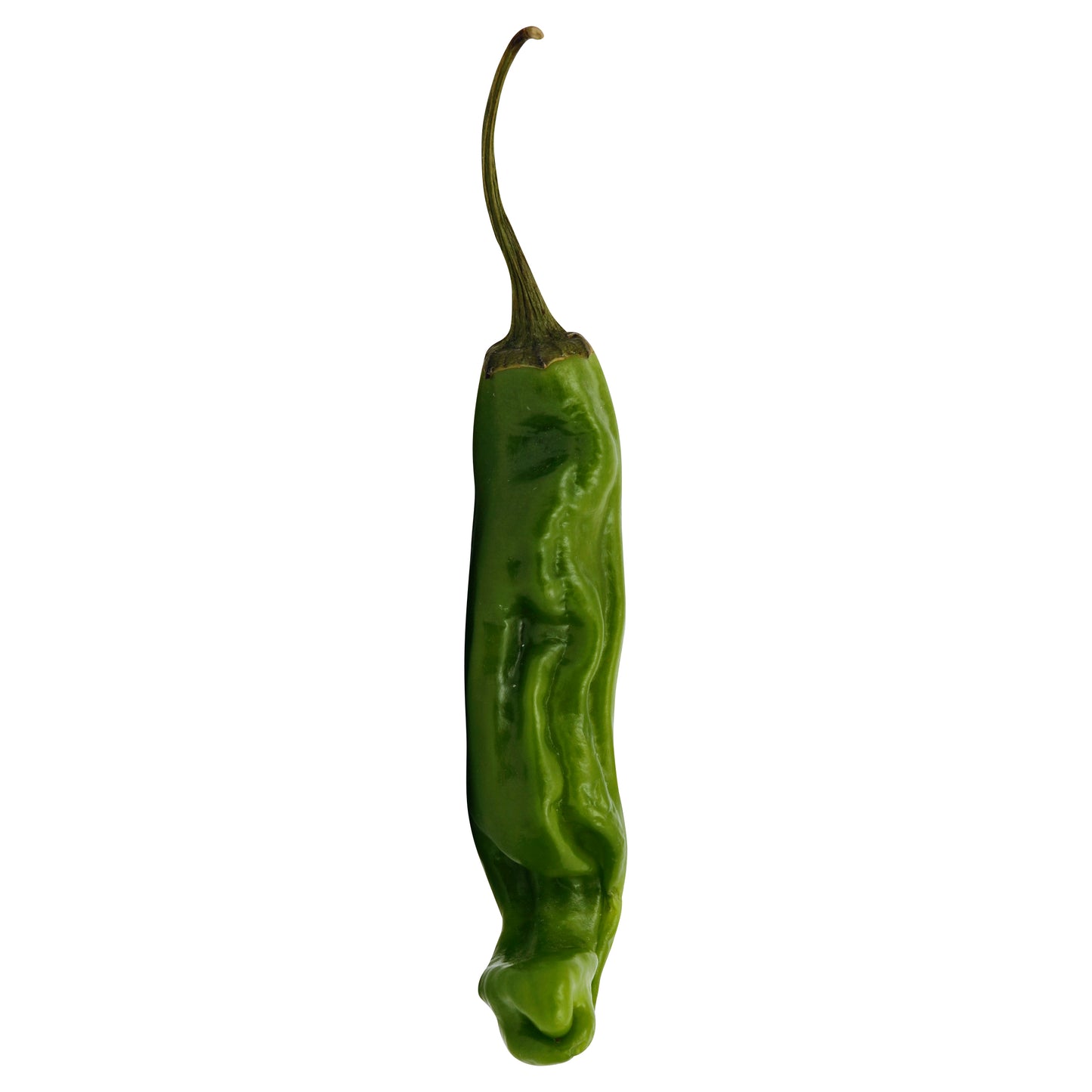 Green Arbol Chile