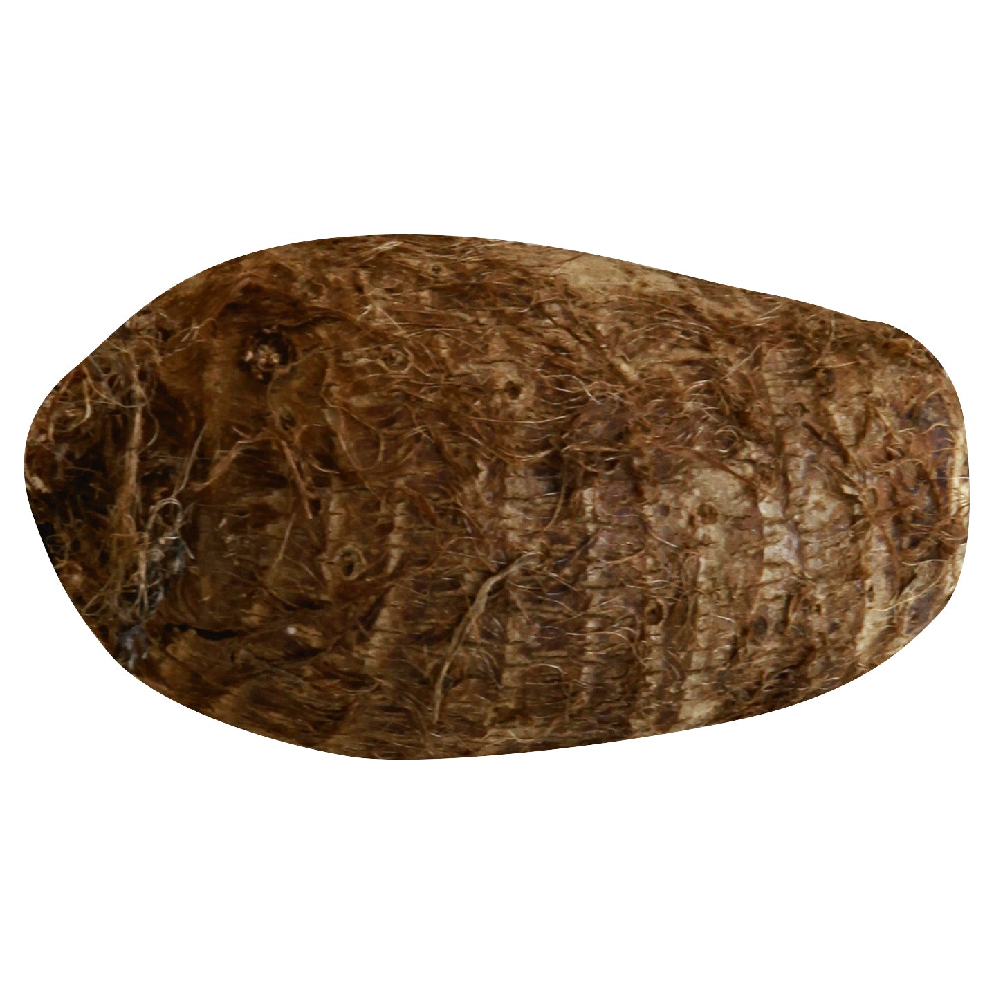 Taro Root/Sugar Cane