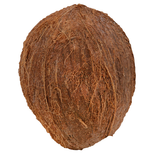 Brown Coconut