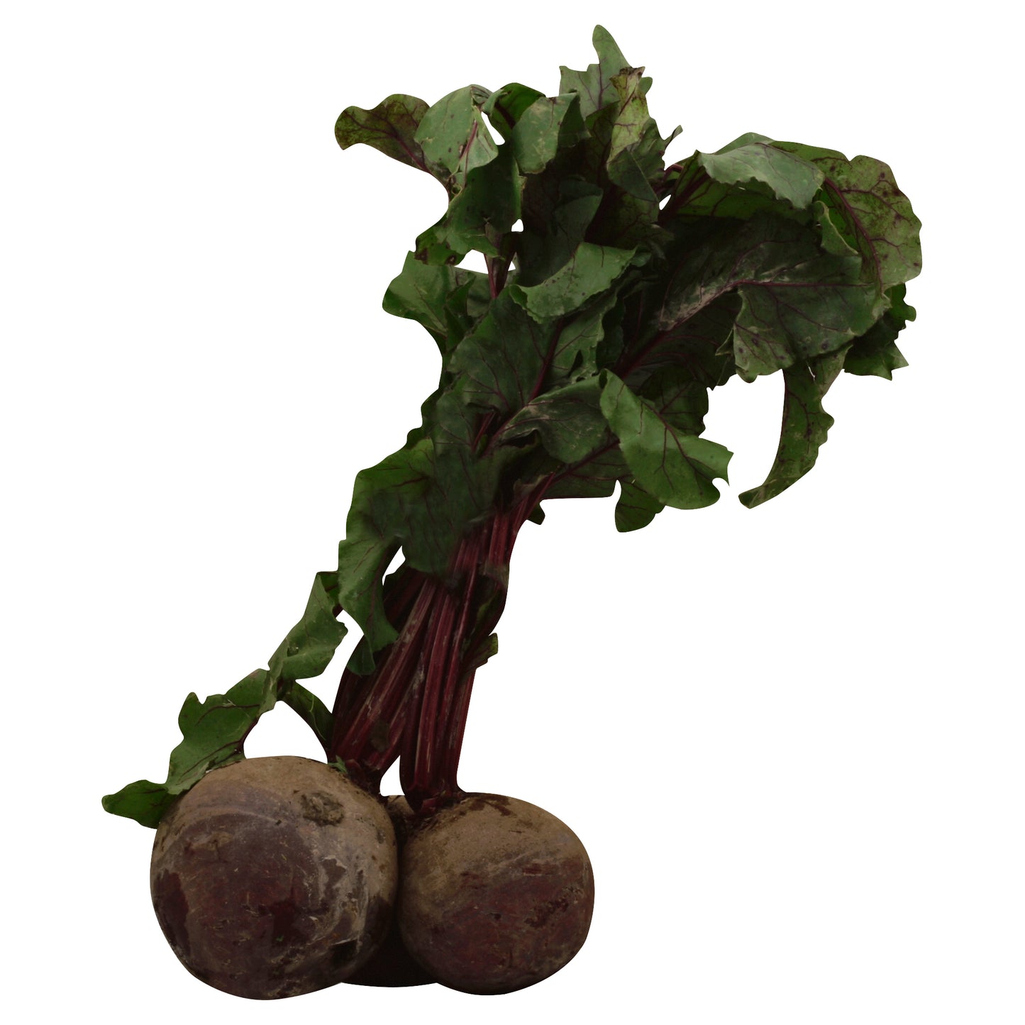 Beet Bunch