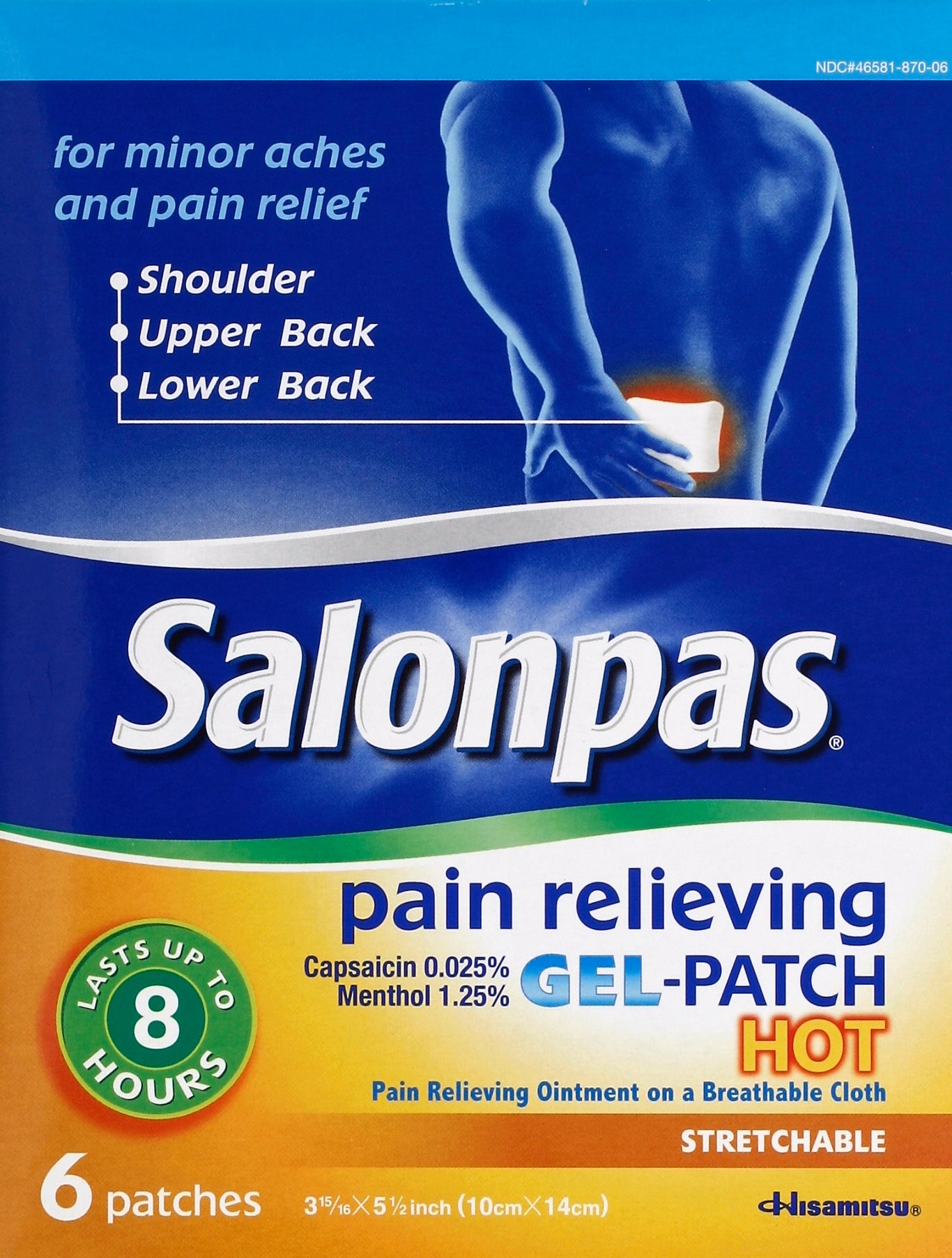Salonpas Pain Relieving Patch 6 ea