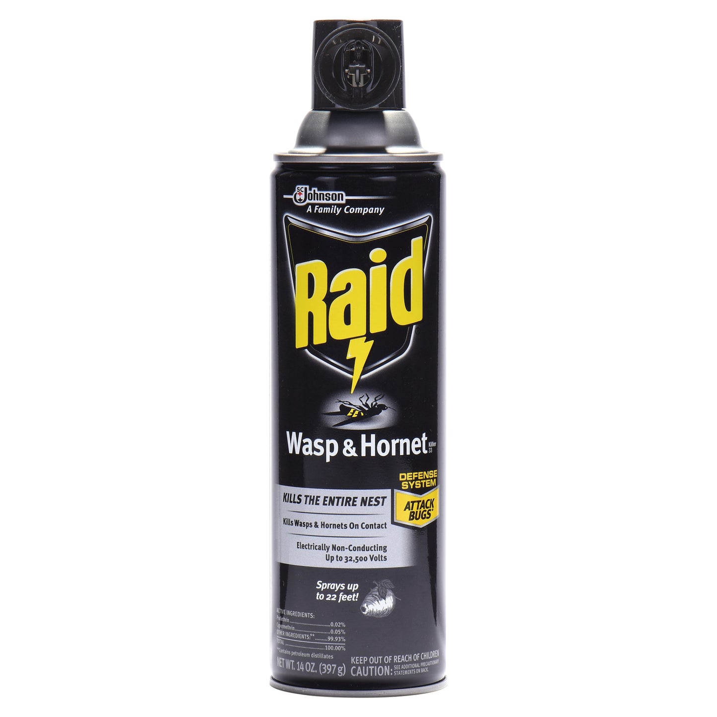 Raid Wasp & Hornet Killer 33 14 oz