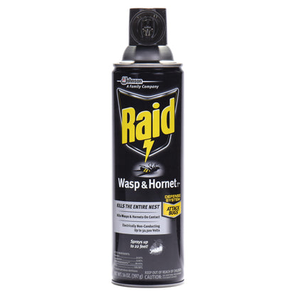 Raid Wasp & Hornet Killer 33 14 oz