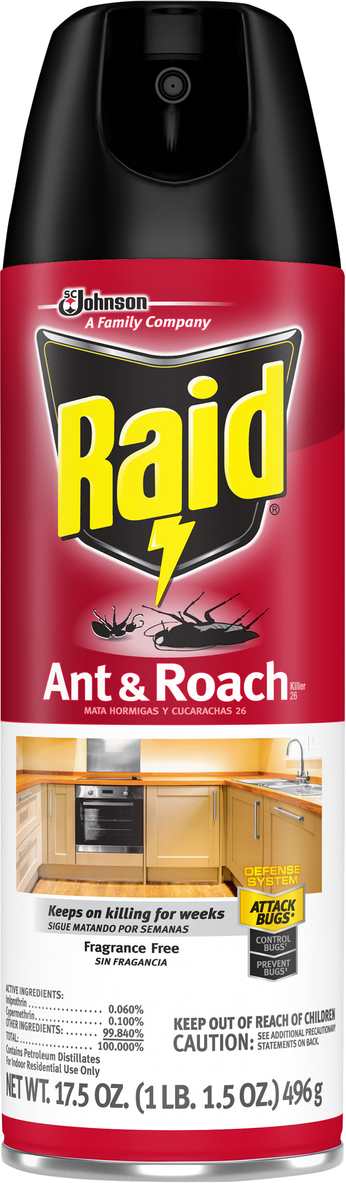 Raid Ant & Roach Killer 17.5 oz