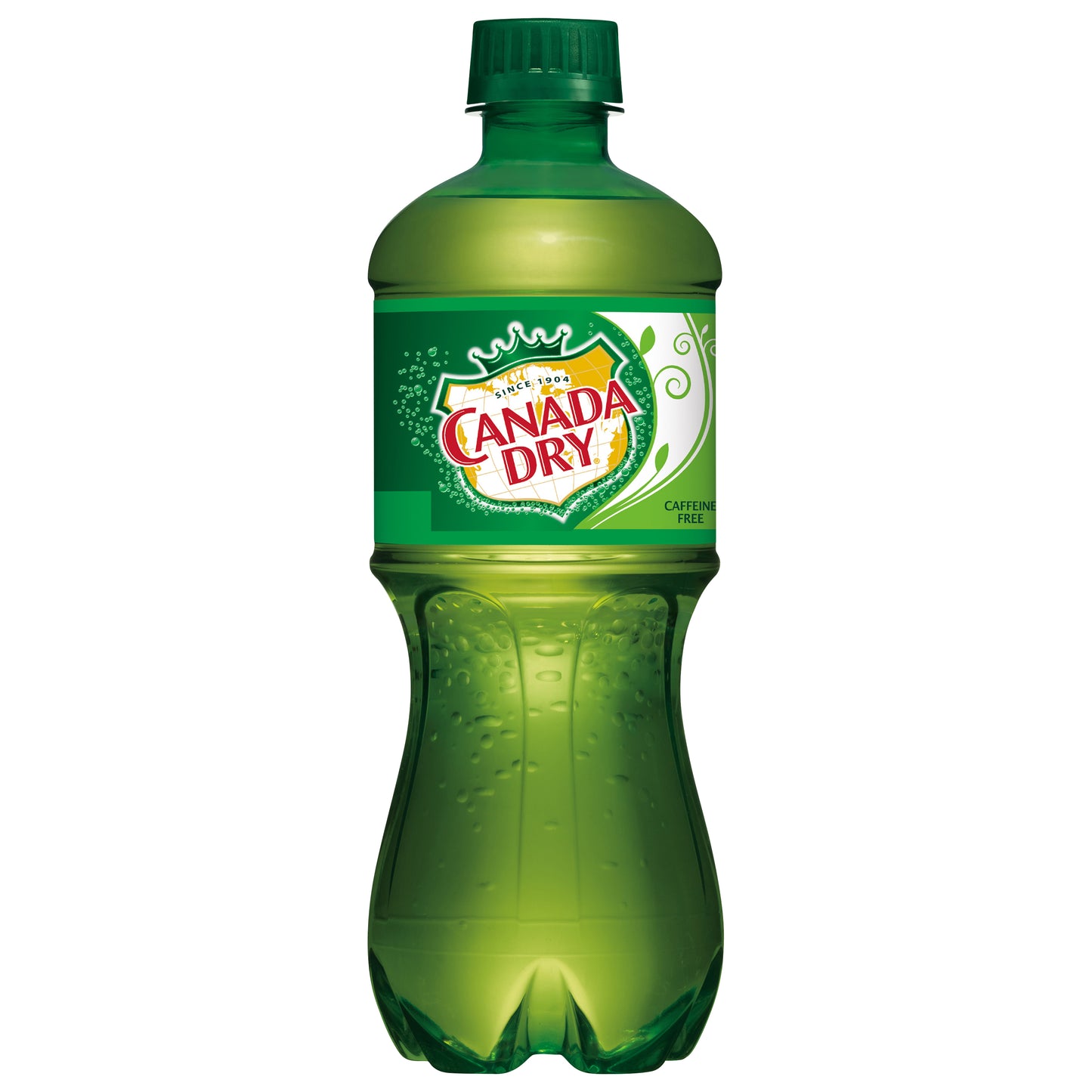 Canada Dry Ginger Ale Soda 20 fl oz