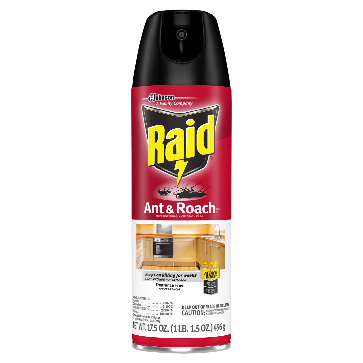 Raid Ant & Roach Killer 17.5 oz