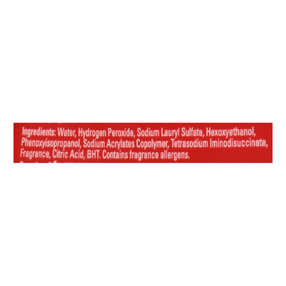 Resolve Pet Expert Stain & Odor Remover 22 oz