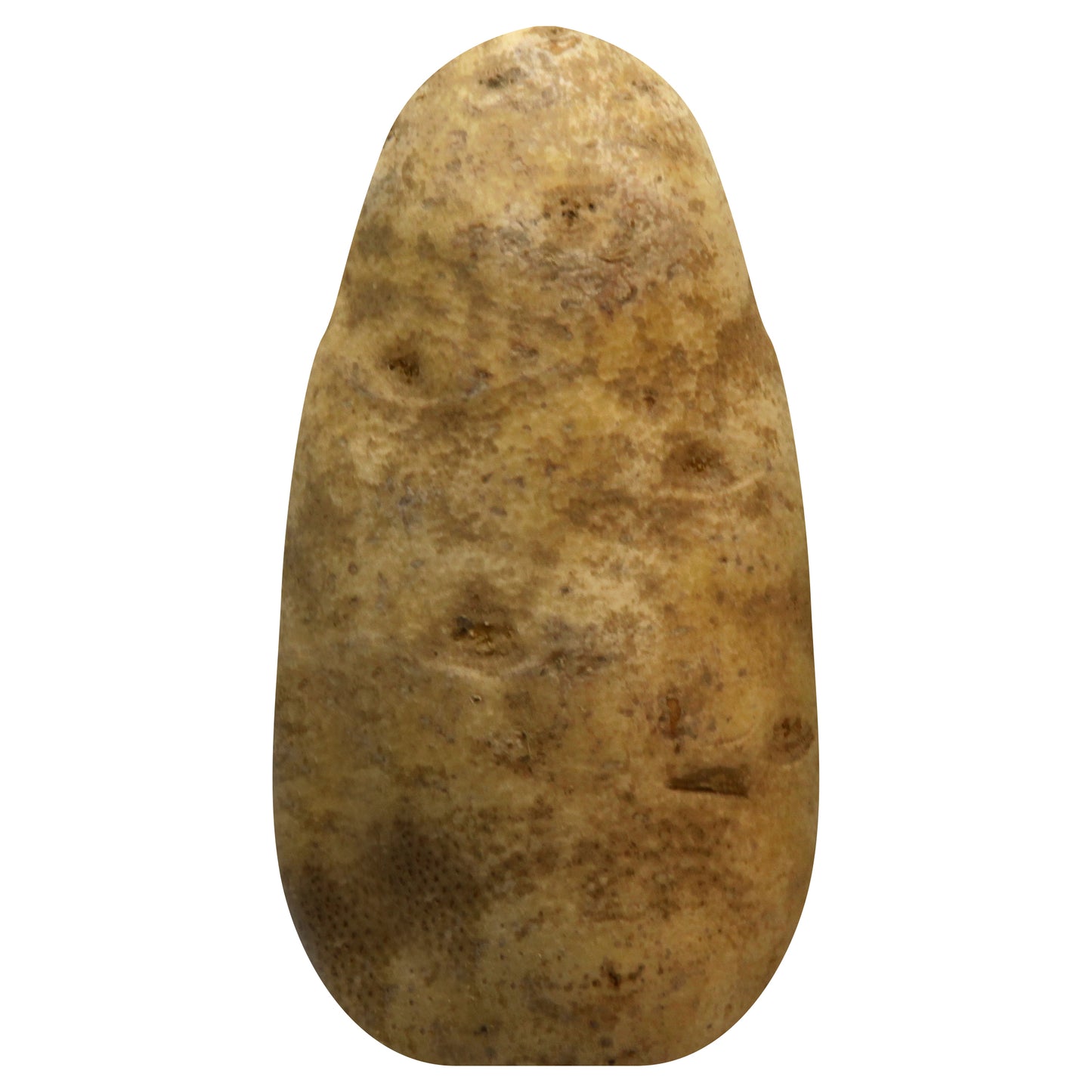 Russet Potato