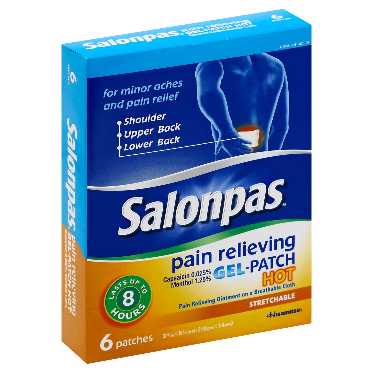 Salonpas Pain Relieving Patch 6 ea
