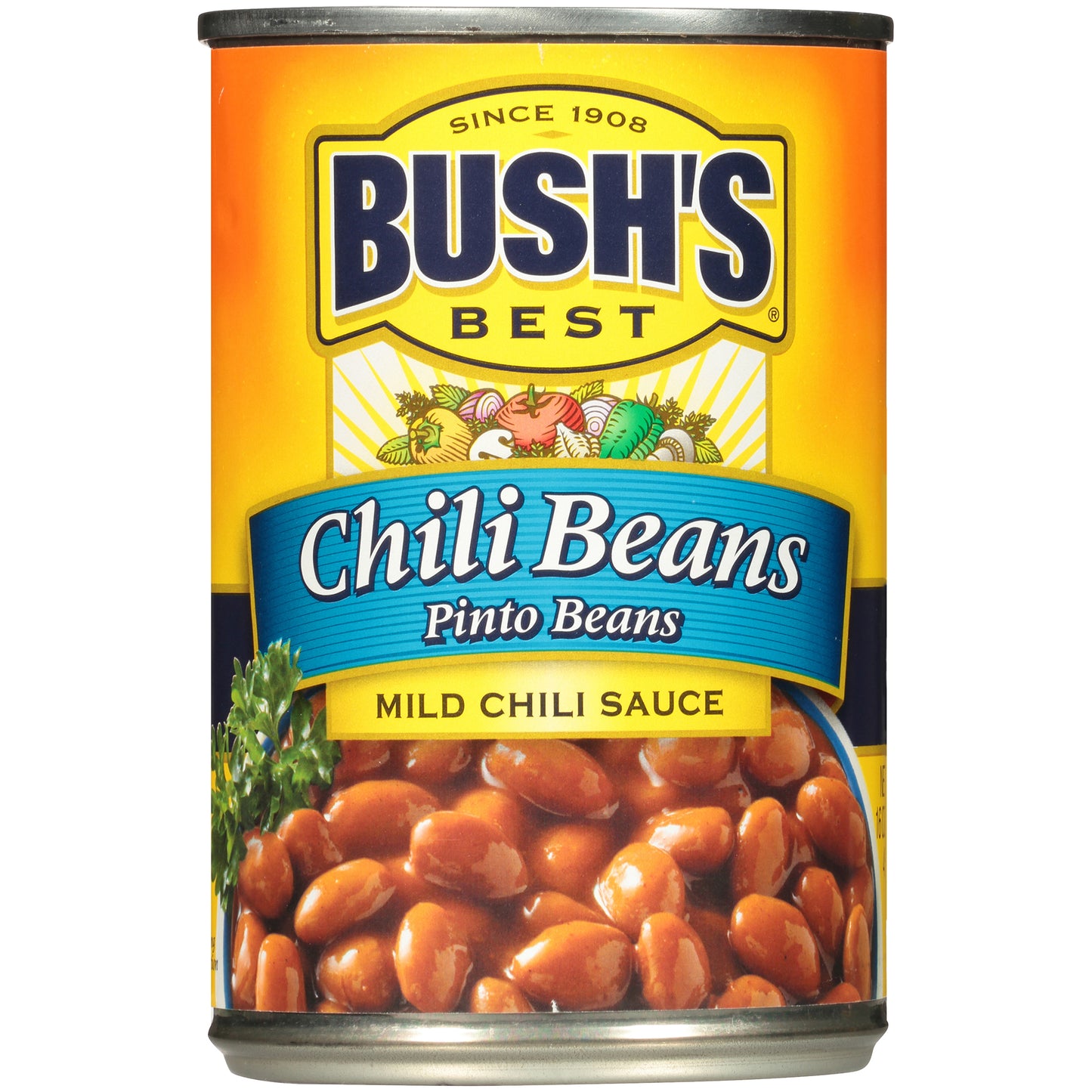 Bush's Best® Chili Beans Pinto Beans in a Mild Chili Sauce 16 oz. Can