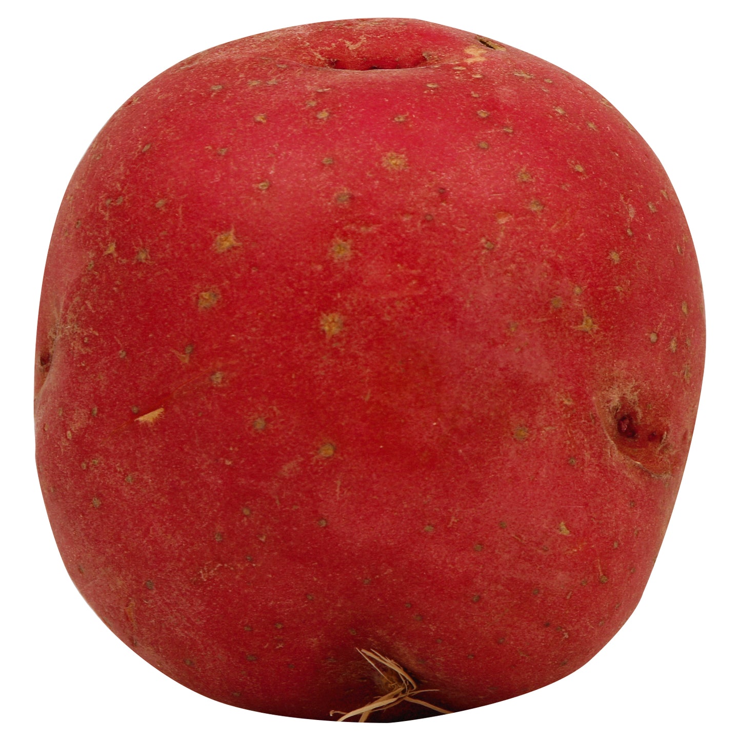Red Potato