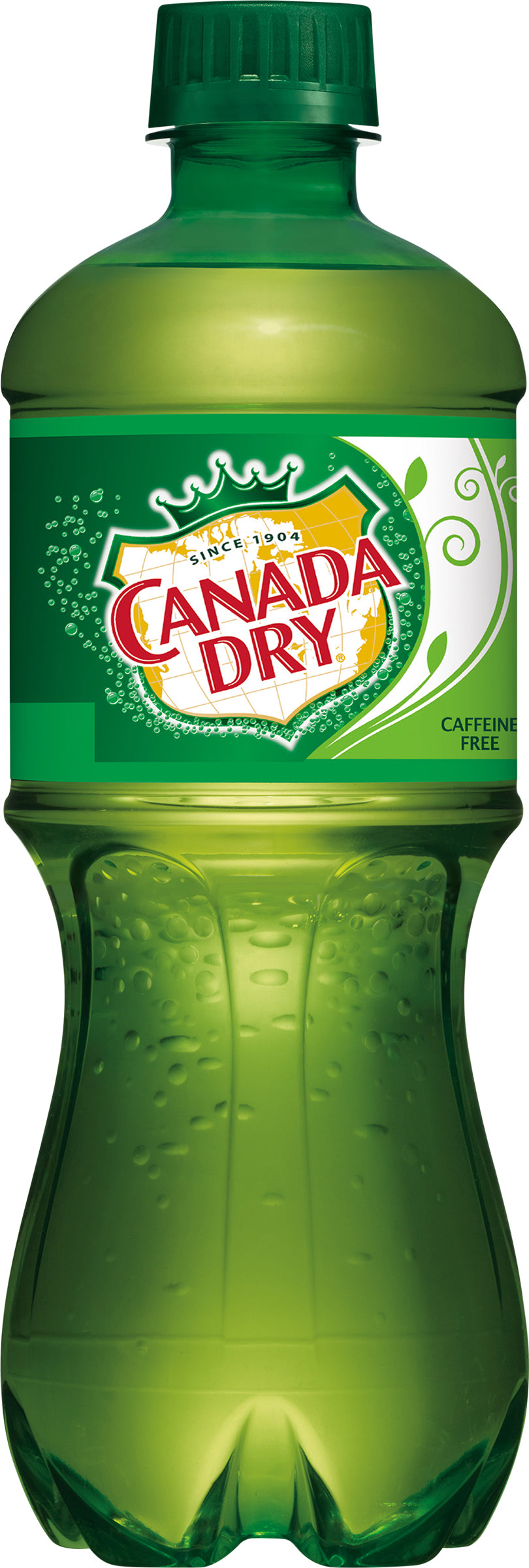 Canada Dry Ginger Ale Soda 20 fl oz