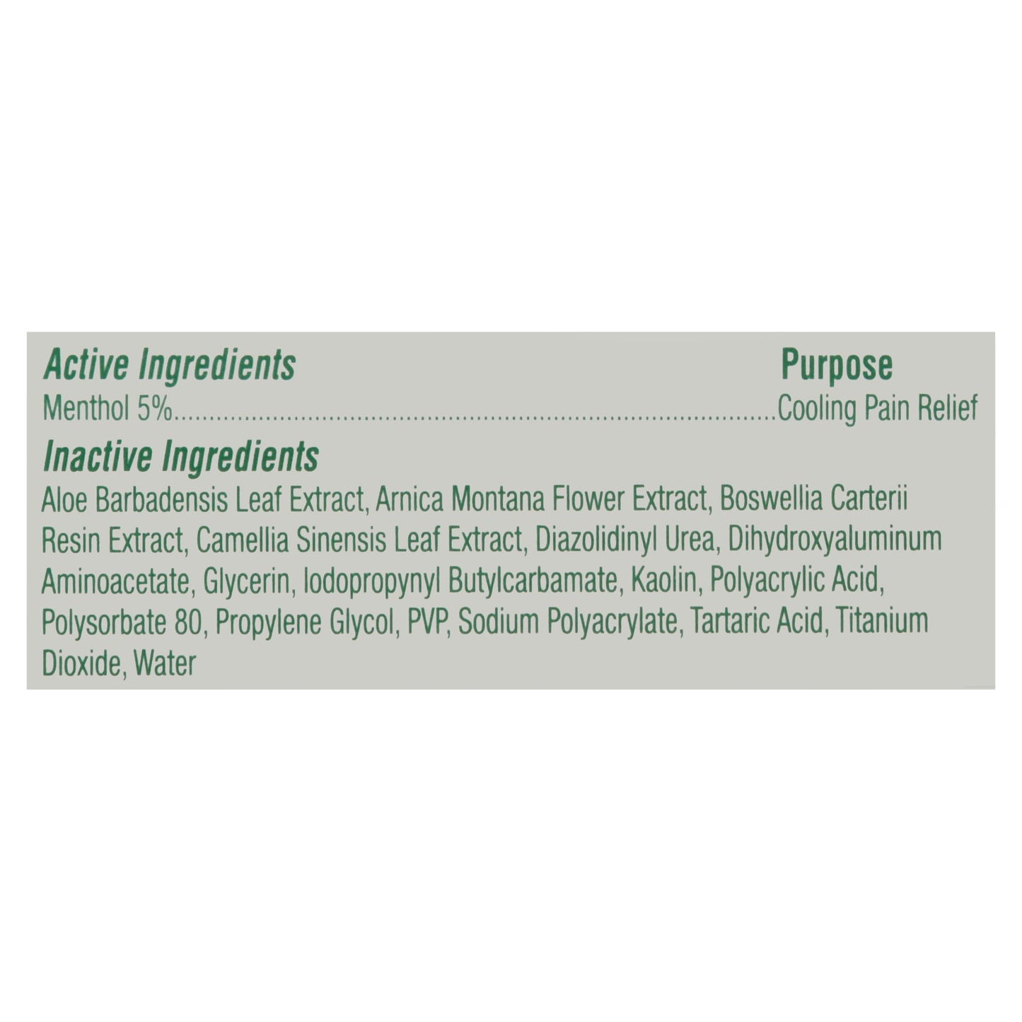 Biofreeze Cool the Pain Large Patches Pain Relief 5 ea
