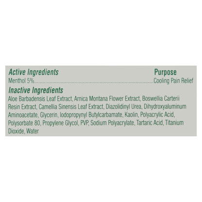 Biofreeze Cool the Pain Large Patches Pain Relief 5 ea