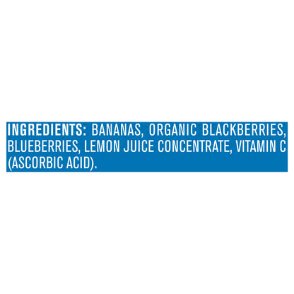 Gerber Natural For Baby Wonder Foods Banana Blackberry Blueberry 2 Pack