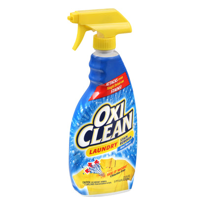 Oxi Clean Laundry Stain Remover 21.5 oz