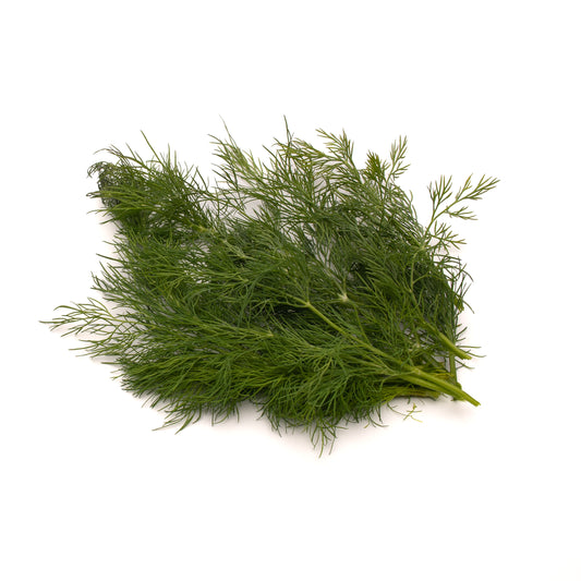 Organic Baby Dill