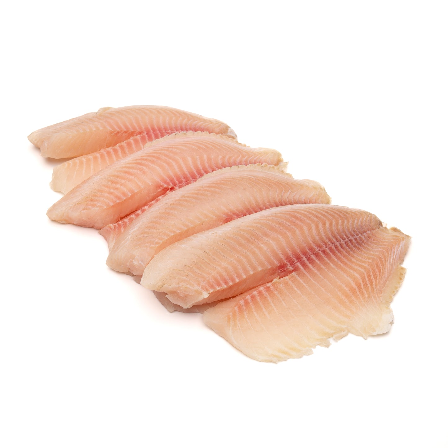 Tilapia