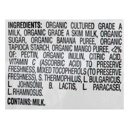 HappyBaby Organic Banana & Mango Yogis 1 oz
