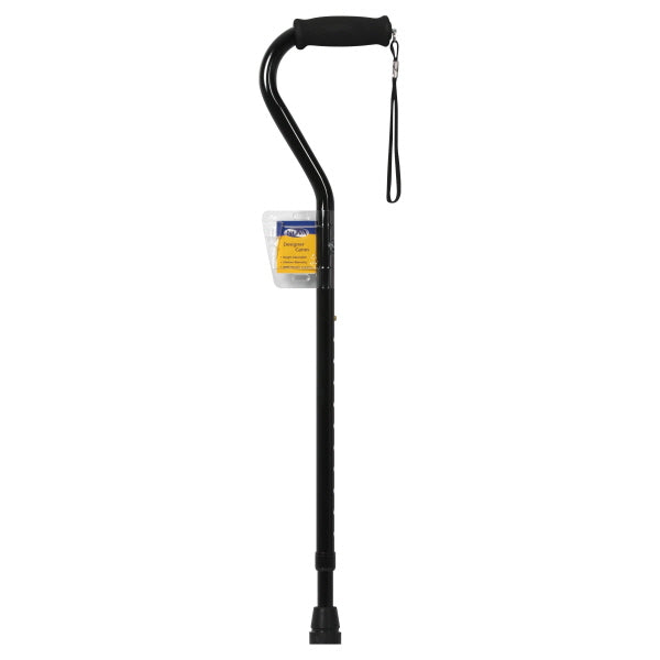 Nova Designer Cane 1 ea
