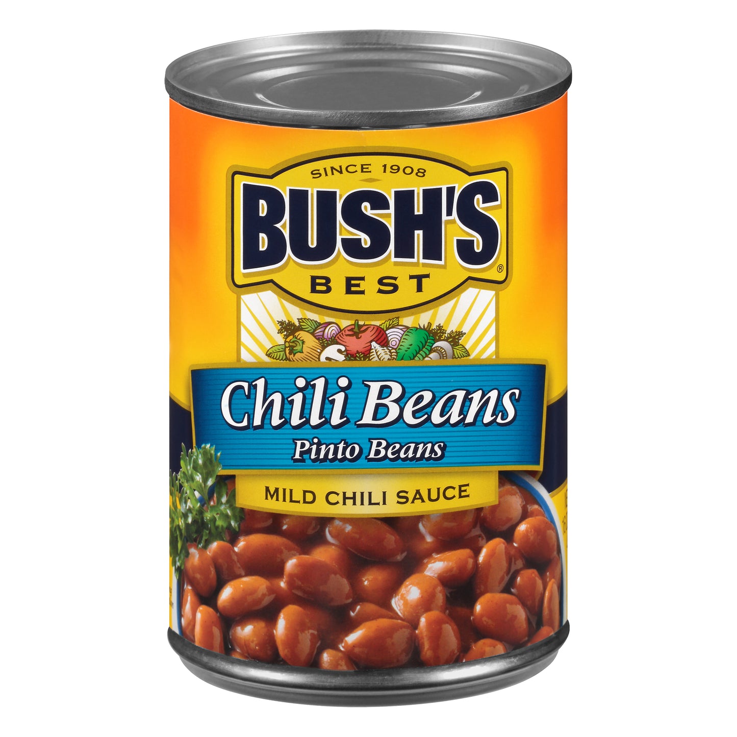Bush's Best® Chili Beans Pinto Beans in a Mild Chili Sauce 16 oz. Can