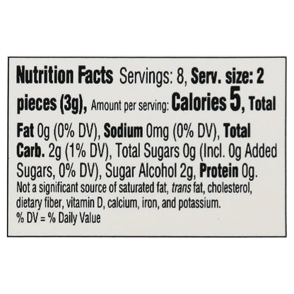 Dentyne Ice Sugar Free Spearmint Gum 16 ea
