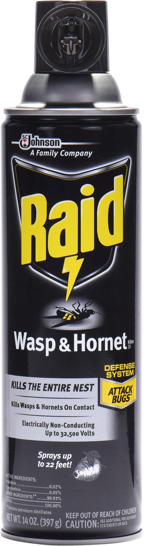 Raid Wasp & Hornet Killer 33 14 oz
